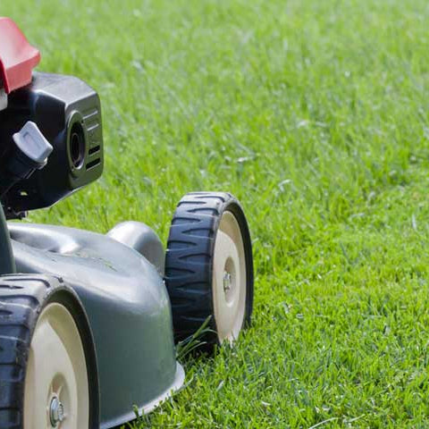Lawn Mowing Service | Joe's Gardens Auckland